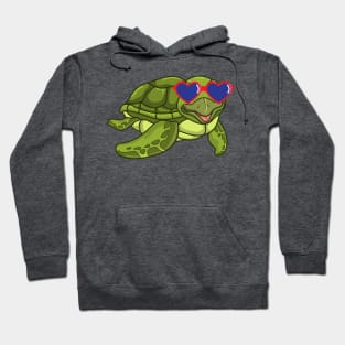 Cool Turtle Hoodie